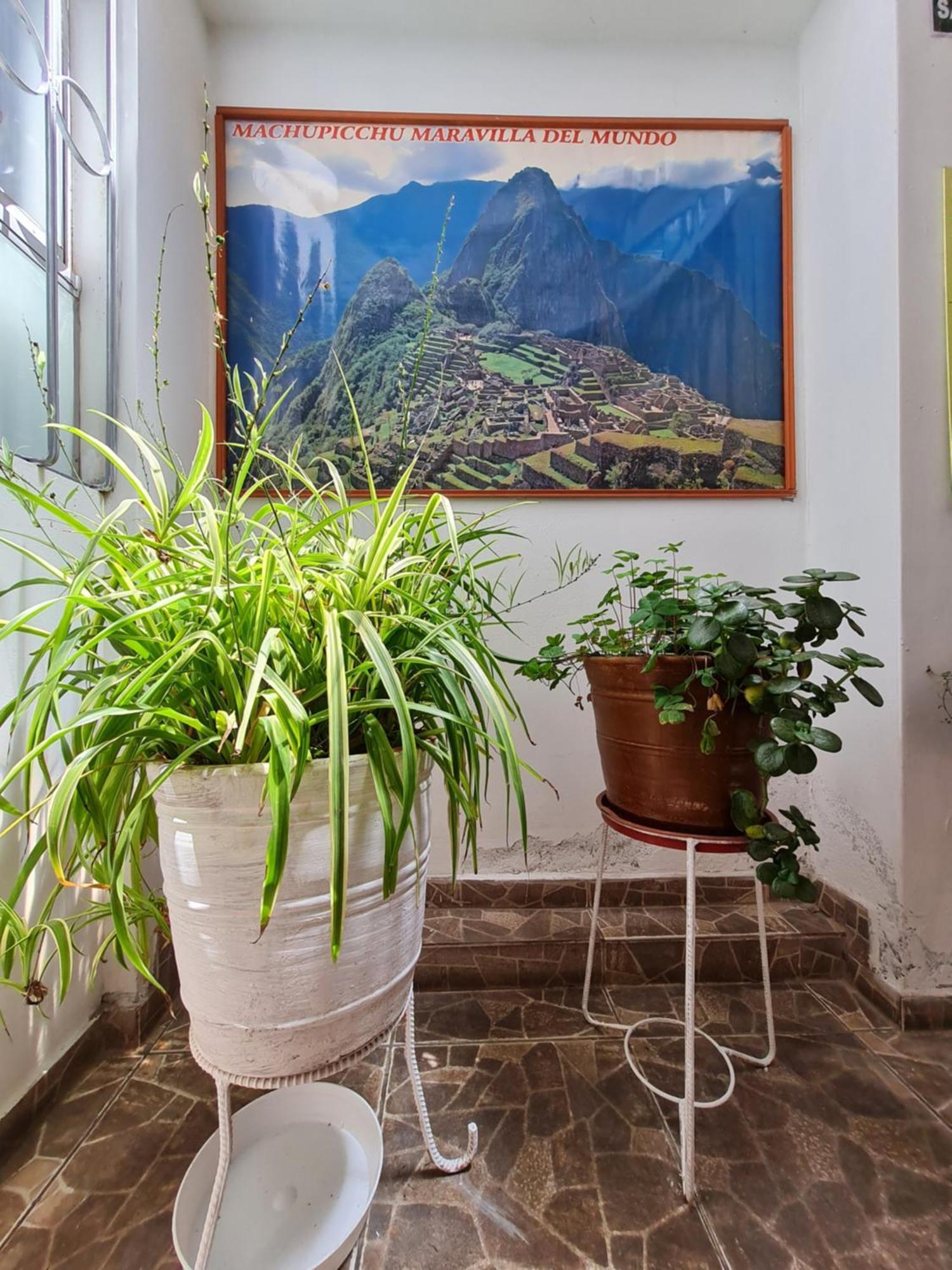 Kallpa Appartement